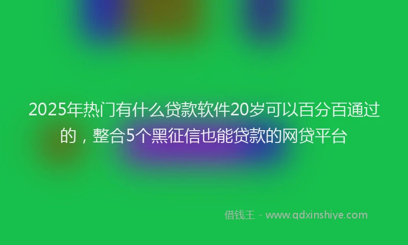 2025年热门有什么贷款软件20岁可以百分百通过的，整合5个黑征信也能贷款的网贷平台