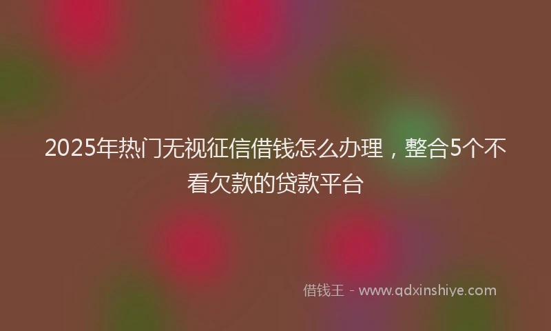 2025年热门无视征信借钱怎么办理，整合5个不看欠款的贷款平台
