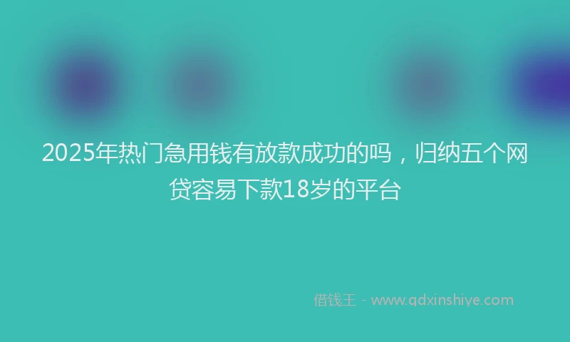2025年热门急用钱有放款成功的吗，归纳五个网贷容易下款18岁的平台