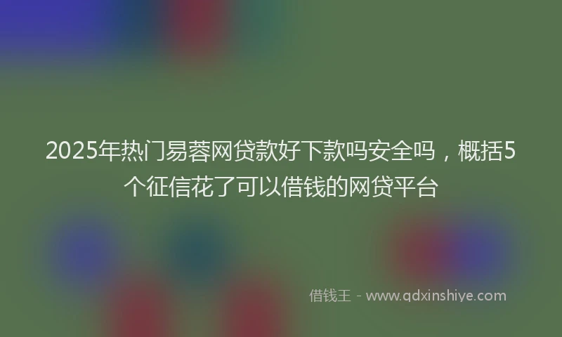 2025年热门易蓉网贷款好下款吗安全吗，概括5个征信花了可以借钱的网贷平台