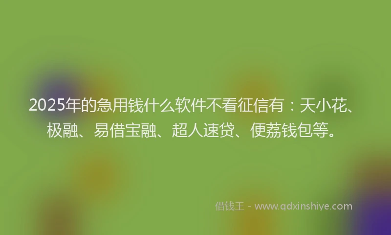 2025年的急用钱什么软件不看征信有：天小花、极融、易借宝融、超人速贷、便荔钱包等。