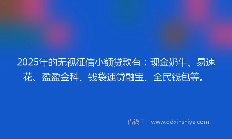2025年的无视征信小额贷款有：现金奶牛、易速花、盈盈金科、钱袋速贷融宝、全民钱包等。