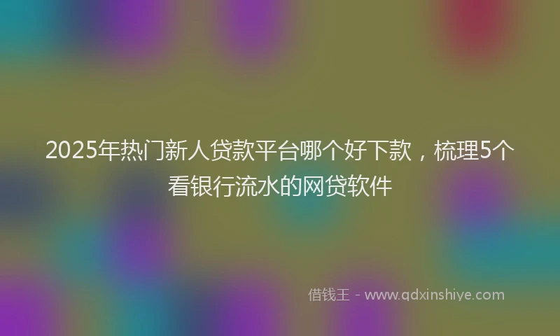2025年热门新人贷款平台哪个好下款，梳理5个看银行流水的网贷软件