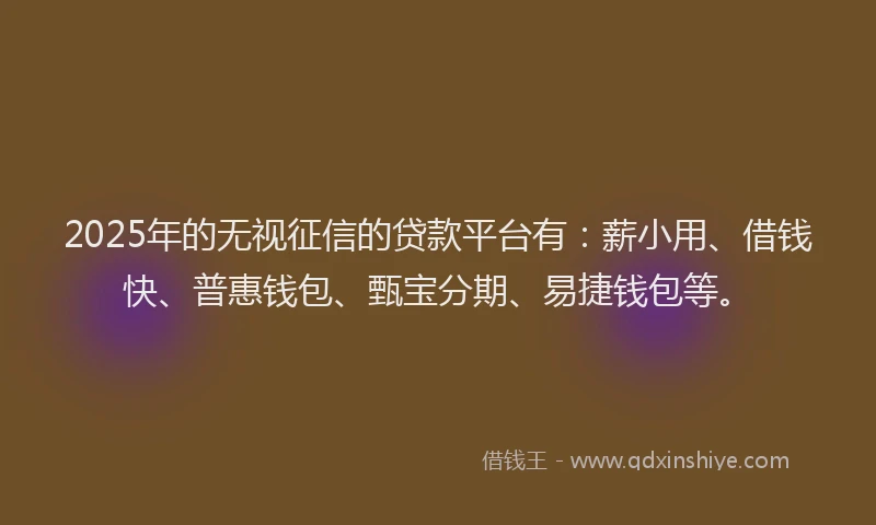 2025年的无视征信的贷款平台有：薪小用、借钱快、普惠钱包、甄宝分期、易捷钱包等。