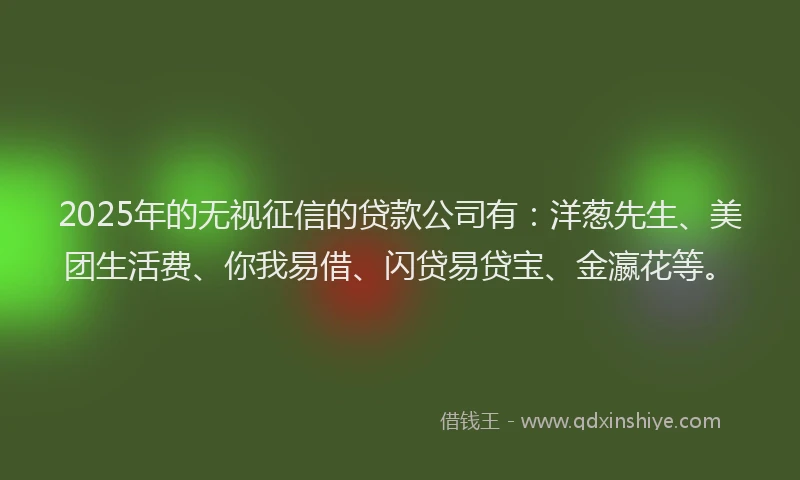 2025年的无视征信的贷款公司有：洋葱先生、美团生活费、你我易借、闪贷易贷宝、金瀛花等。