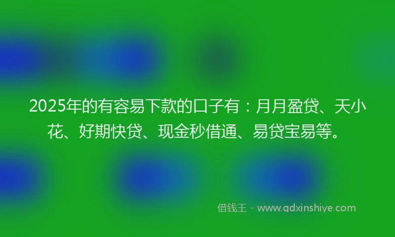 2025年的有容易下款的口子有：月月盈贷、天小花、好期快贷、现金秒借通、易贷宝易等。