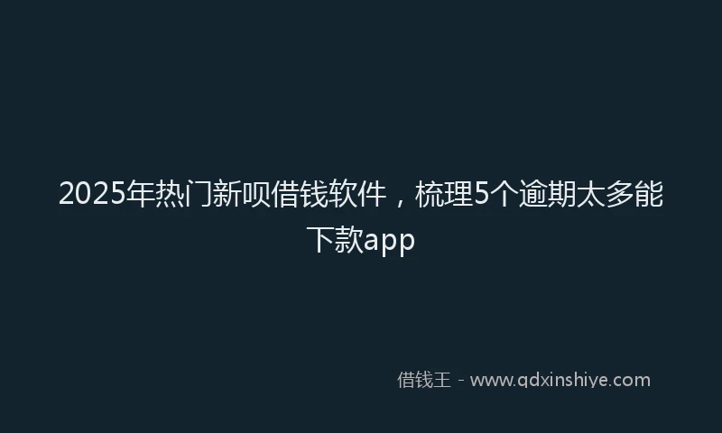 2025年热门新呗借钱软件，梳理5个逾期太多能下款app