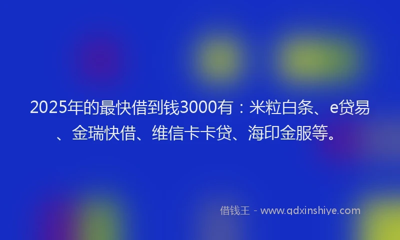 2025年的最快借到钱3000有：米粒白条、e贷易、金瑞快借、维信卡卡贷、海印金服等。