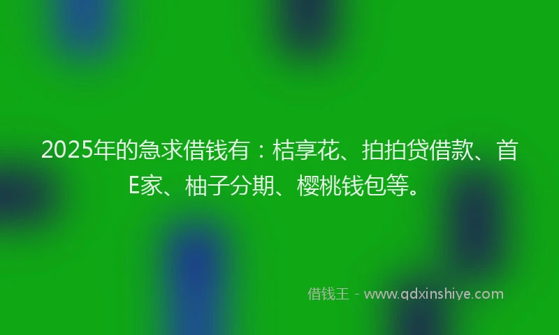 2025年的急求借钱有：桔享花、拍拍贷借款、首E家、柚子分期、樱桃钱包等。