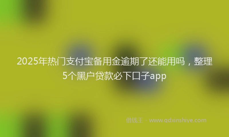 2025年热门支付宝备用金逾期了还能用吗，整理5个黑户贷款必下口子app