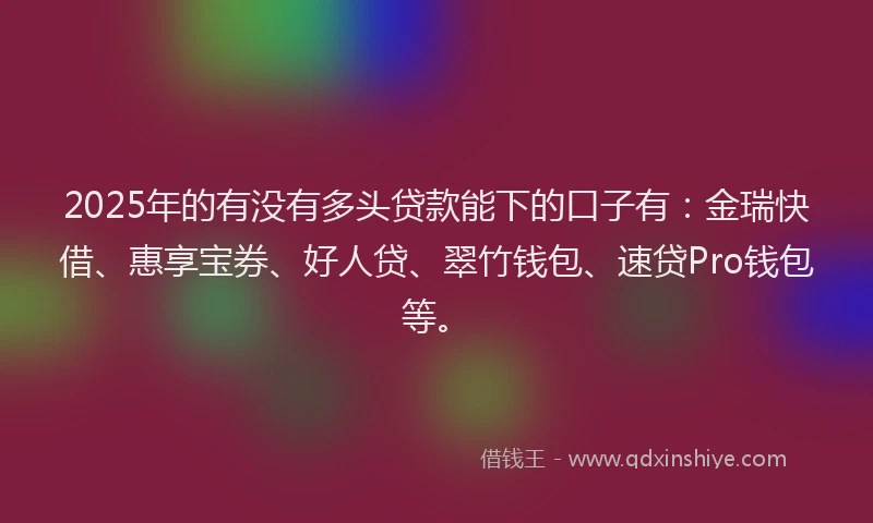 2025年的有没有多头贷款能下的口子有：金瑞快借、惠享宝券、好人贷、翠竹钱包、速贷Pro钱包等。