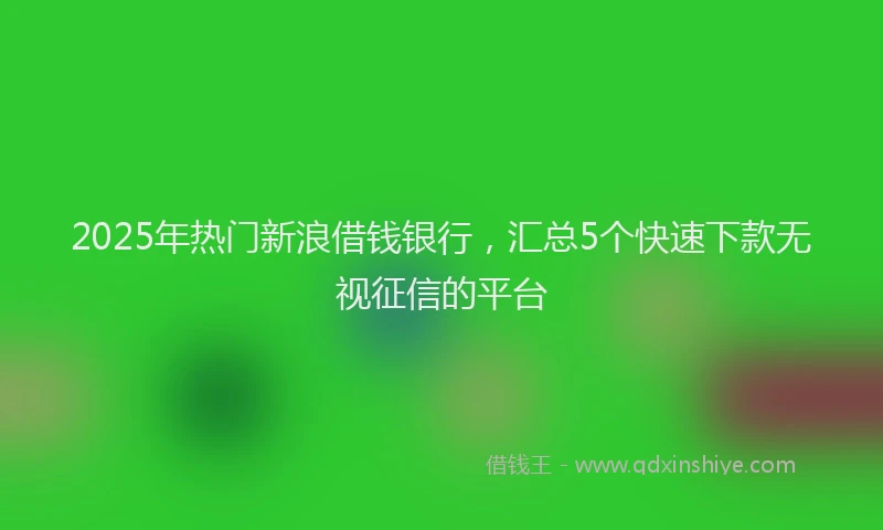 2025年热门新浪借钱银行，汇总5个快速下款无视征信的平台