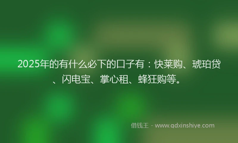 2025年的有什么必下的口子有：快莱购、琥珀贷、闪电宝、掌心租、蜂狂购等。
