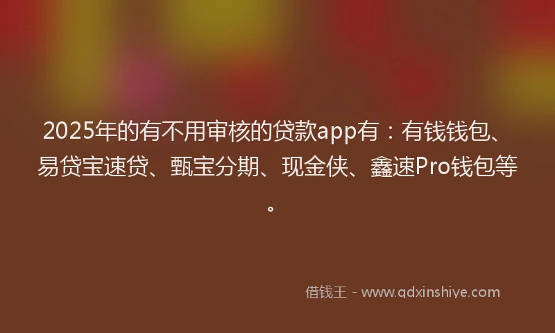 2025年的有不用审核的贷款app有：有钱钱包、易贷宝速贷、甄宝分期、现金侠、鑫速Pro钱包等。