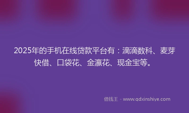 2025年的手机在线贷款平台有：滴滴数科、麦芽快借、口袋花、金瀛花、现金宝等。