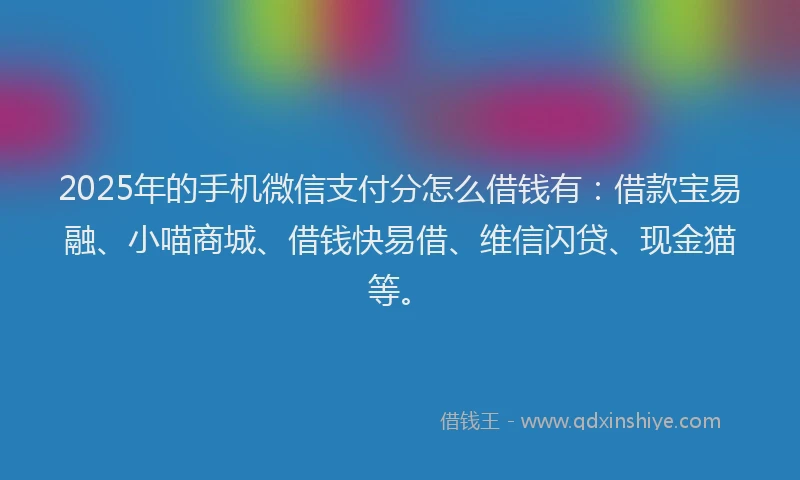 2025年的手机微信支付分怎么借钱有：借款宝易融、小喵商城、借钱快易借、维信闪贷、现金猫等。