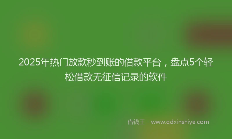 2025年热门放款秒到账的借款平台，盘点5个轻松借款无征信记录的软件