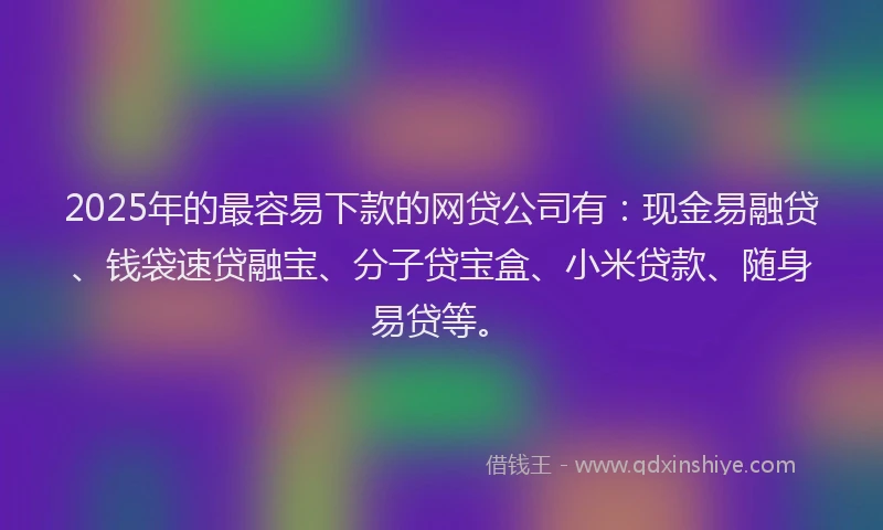 2025年的最容易下款的网贷公司有：现金易融贷、钱袋速贷融宝、分子贷宝盒、小米贷款、随身易贷等。