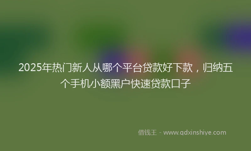 2025年热门新人从哪个平台贷款好下款，归纳五个手机小额黑户快速贷款口子