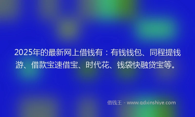 2025年的最新网上借钱有：有钱钱包、同程提钱游、借款宝速借宝、时代花、钱袋快融贷宝等。