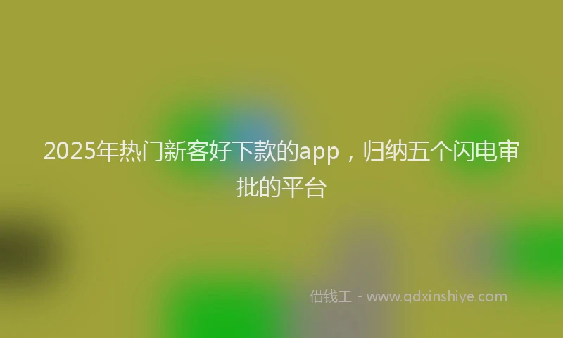 2025年热门新客好下款的app，归纳五个闪电审批的平台