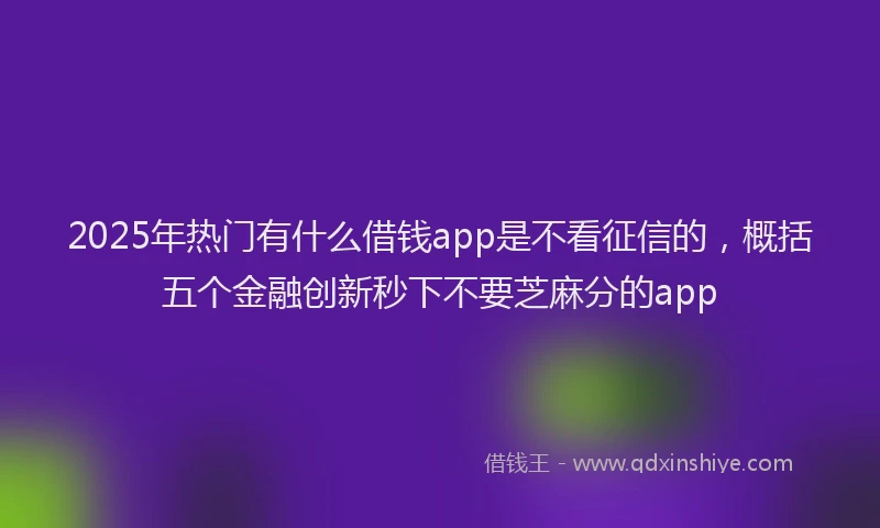 2025年热门有什么借钱app是不看征信的，概括五个金融创新秒下不要芝麻分的app