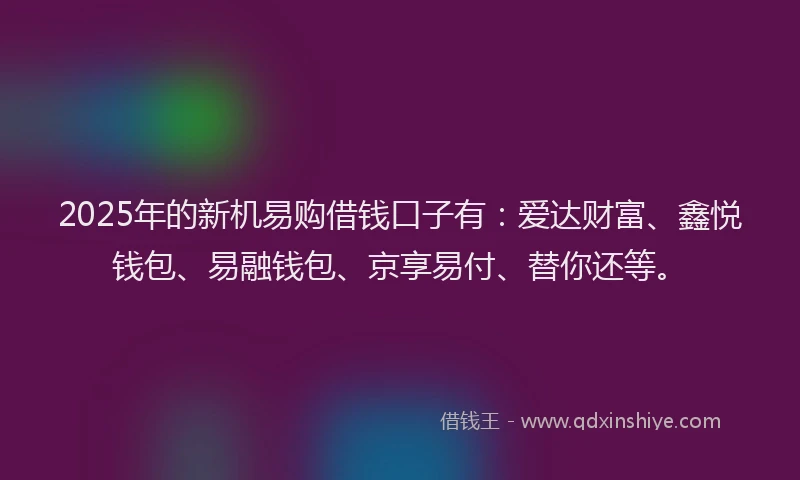 2025年的新机易购借钱口子有：爱达财富、鑫悦钱包、易融钱包、京享易付、替你还等。