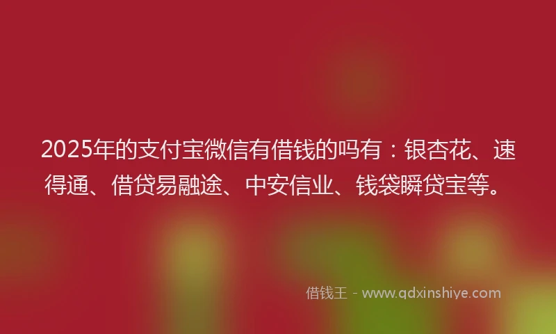 2025年的支付宝微信有借钱的吗有：银杏花、速得通、借贷易融途、中安信业、钱袋瞬贷宝等。