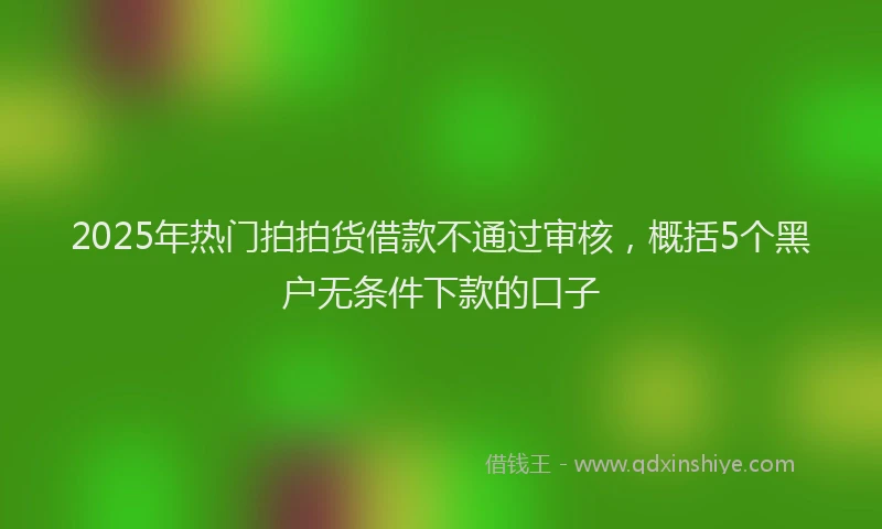2025年热门拍拍货借款不通过审核，概括5个黑户无条件下款的口子
