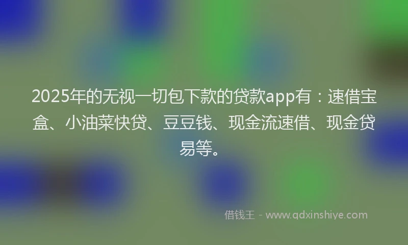 2025年的无视一切包下款的贷款app有：速借宝盒、小油菜快贷、豆豆钱、现金流速借、现金贷易等。