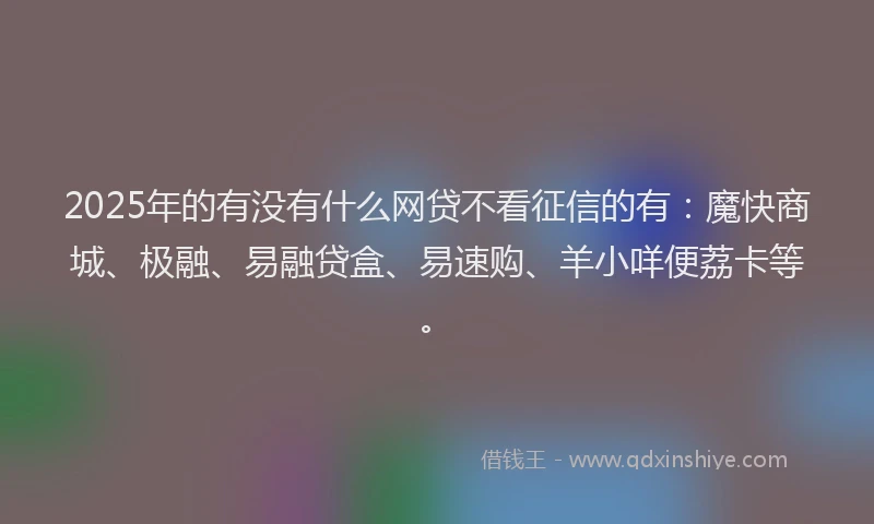 2025年的有没有什么网贷不看征信的有：魔快商城、极融、易融贷盒、易速购、羊小咩便荔卡等。