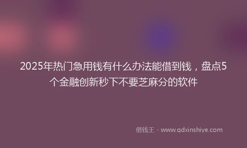 2025年热门急用钱有什么办法能借到钱，盘点5个金融创新秒下不要芝麻分的软件