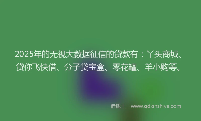 2025年的无视大数据征信的贷款有：丫头商城、贷你飞快借、分子贷宝盒、零花罐、羊小购等。