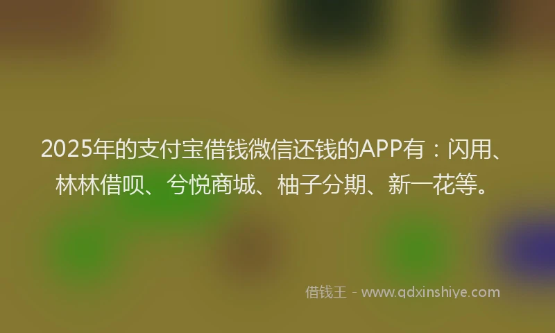 2025年的支付宝借钱微信还钱的APP有：闪用、林林借呗、兮悦商城、柚子分期、新一花等。