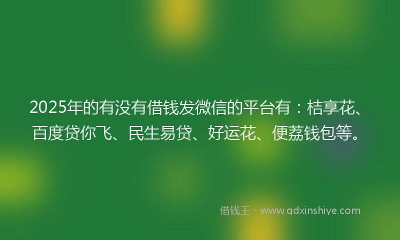 2025年的有没有借钱发微信的平台有：桔享花、百度贷你飞、民生易贷、好运花、便荔钱包等。