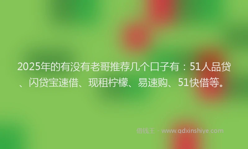 2025年的有没有老哥推荐几个口子有：51人品贷、闪贷宝速借、现租柠檬、易速购、51快借等。