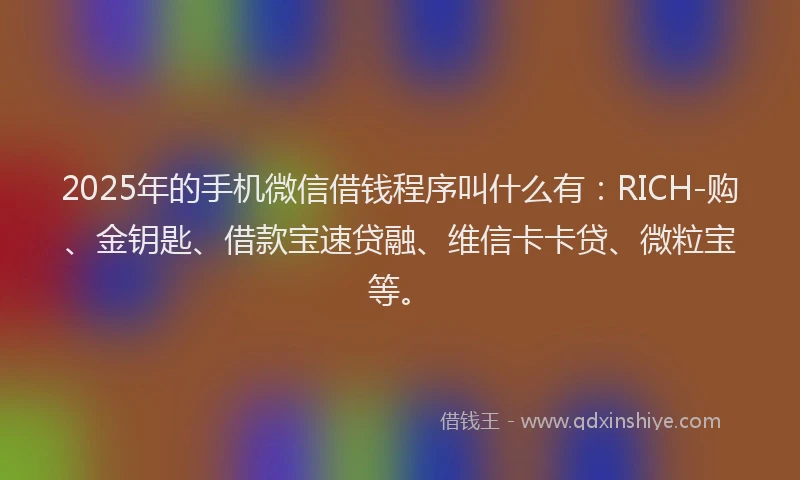 2025年的手机微信借钱程序叫什么有：RICH-购、金钥匙、借款宝速贷融、维信卡卡贷、微粒宝等。