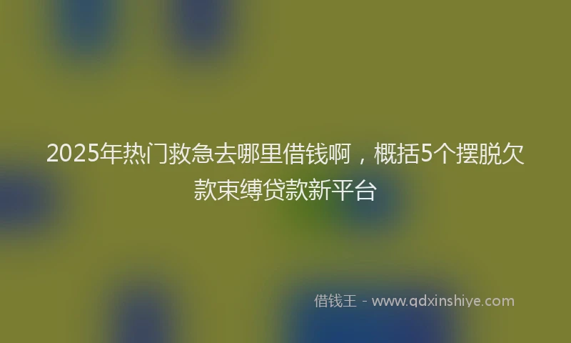 2025年热门救急去哪里借钱啊，概括5个摆脱欠款束缚贷款新平台