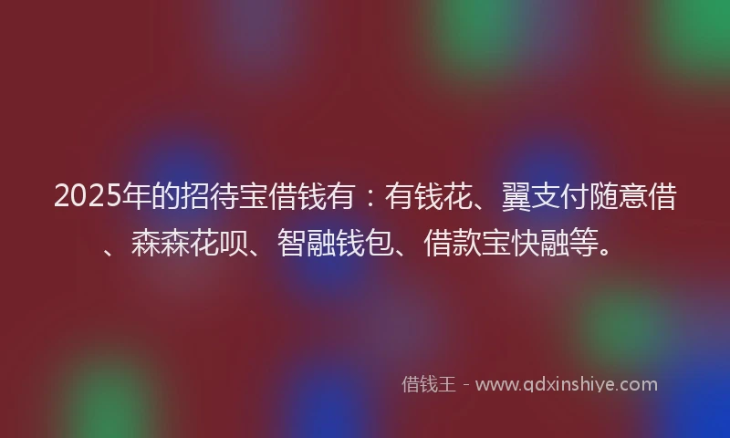 2025年的招待宝借钱有：有钱花、翼支付随意借、森森花呗、智融钱包、借款宝快融等。