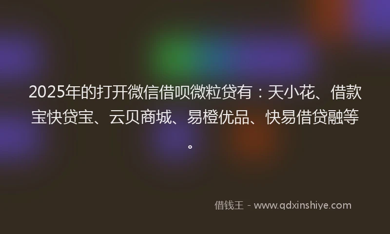2025年的打开微信借呗微粒贷有：天小花、借款宝快贷宝、云贝商城、易橙优品、快易借贷融等。