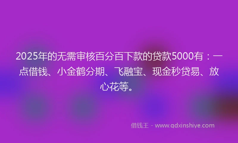 2025年的无需审核百分百下款的贷款5000有：一点借钱、小金鹤分期、飞融宝、现金秒贷易、放心花等。