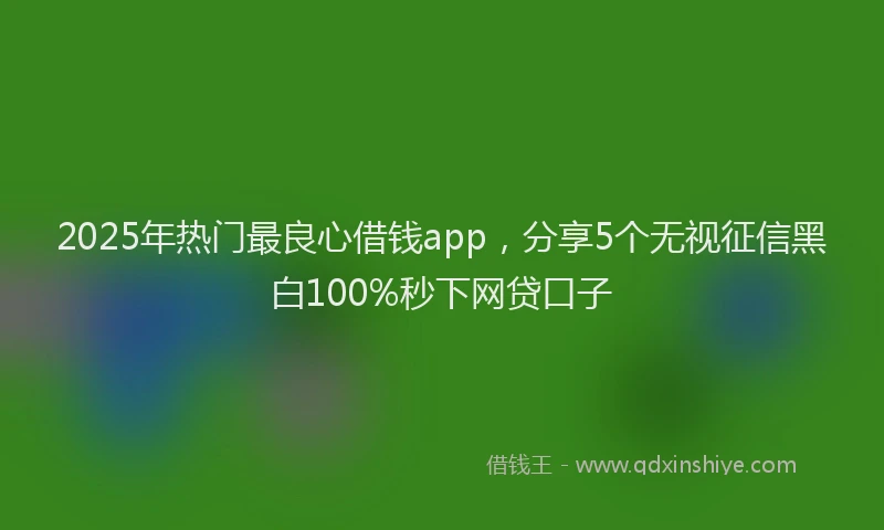 2025年热门最良心借钱app，分享5个无视征信黑白100%秒下网贷口子