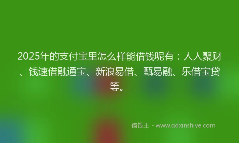 2025年的支付宝里怎么样能借钱呢有：人人聚财、钱速借融通宝、新浪易借、甄易融、乐借宝贷等。
