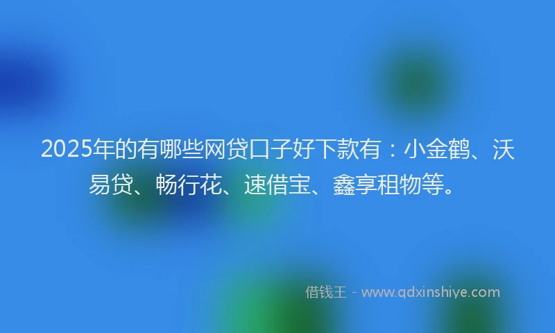 2025年的有哪些网贷口子好下款有：小金鹤、沃易贷、畅行花、速借宝、鑫享租物等。