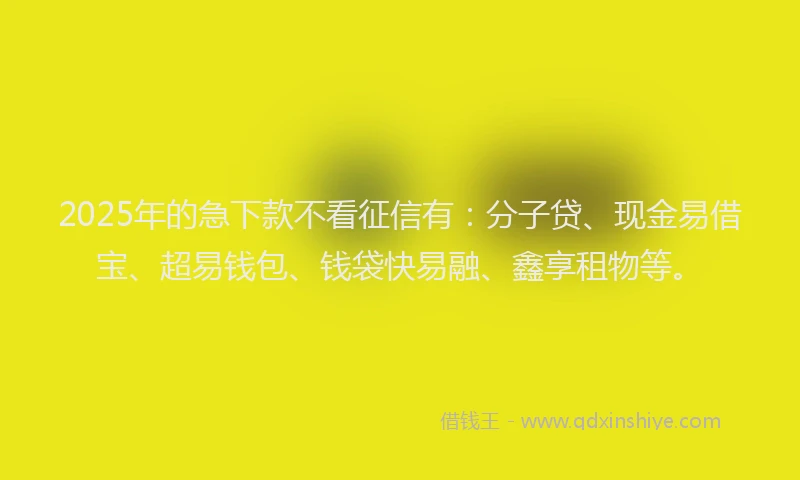 2025年的急下款不看征信有：分子贷、现金易借宝、超易钱包、钱袋快易融、鑫享租物等。