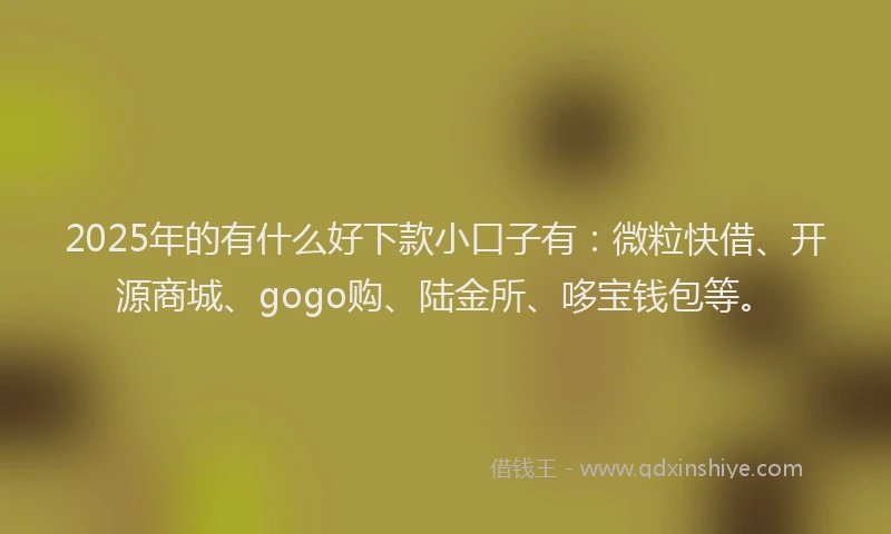 2025年的有什么好下款小口子有：微粒快借、开源商城、gogo购、陆金所、哆宝钱包等。