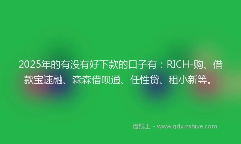 2025年的有没有好下款的口子有：RICH-购、借款宝速融、森森借呗通、任性贷、租小新等。