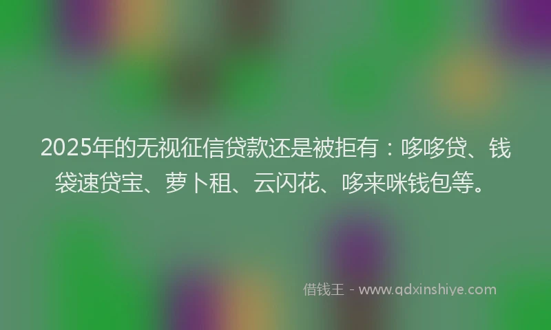 2025年的无视征信贷款还是被拒有：哆哆贷、钱袋速贷宝、萝卜租、云闪花、哆来咪钱包等。
