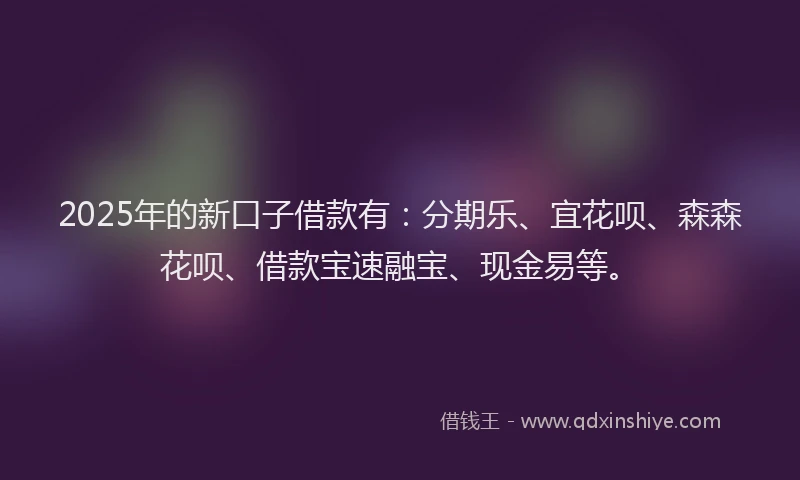 2025年的新口子借款有：分期乐、宜花呗、森森花呗、借款宝速融宝、现金易等。