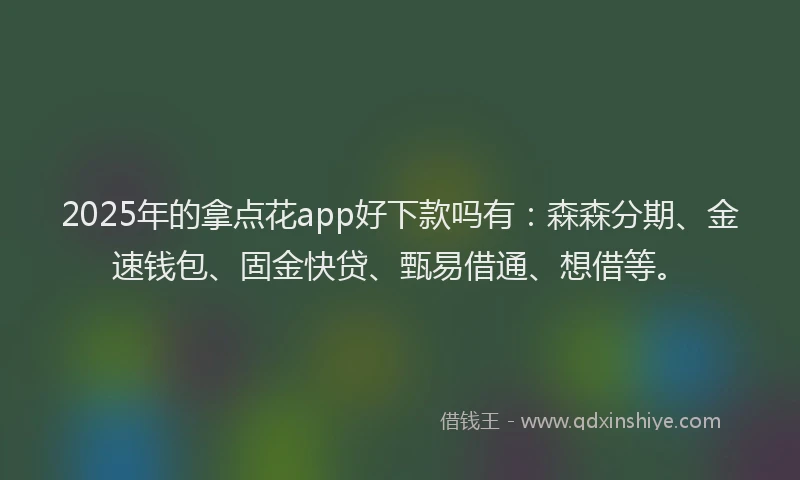 2025年的拿点花app好下款吗有：森森分期、金速钱包、固金快贷、甄易借通、想借等。